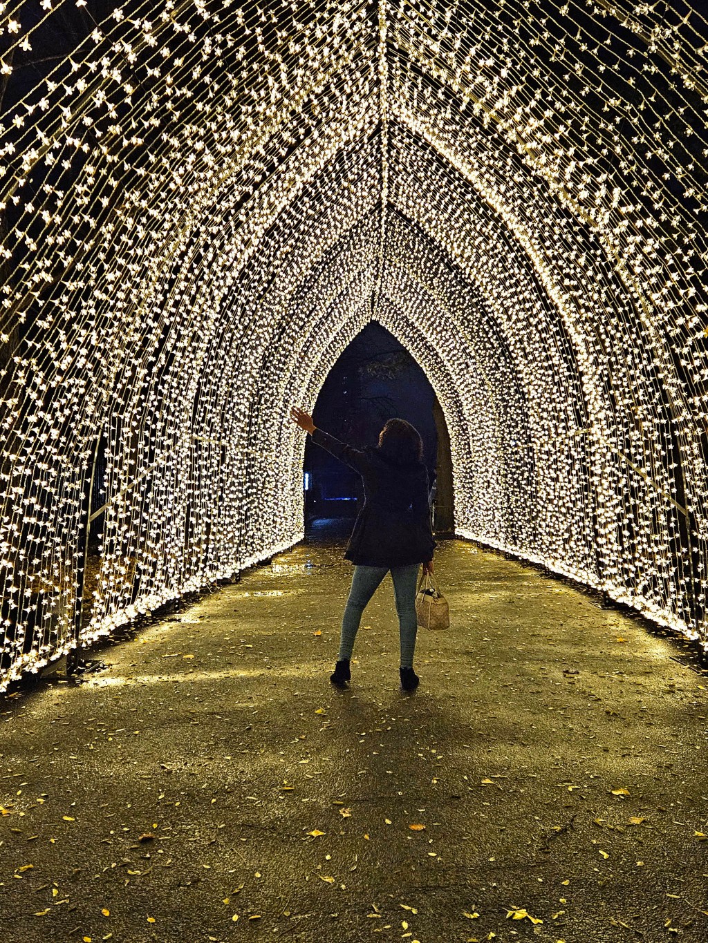 Brooklyn Botanic Garden Lightscape